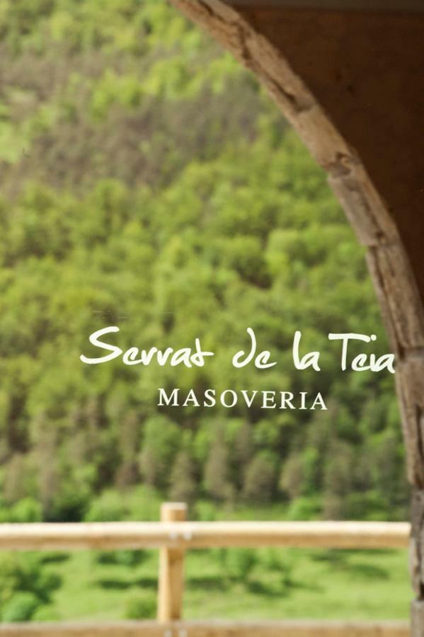 Mas Serrat De La Teia Sant Joan de les Abadesses Dış mekan fotoğraf